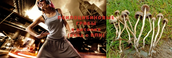 соль ск Алзамай