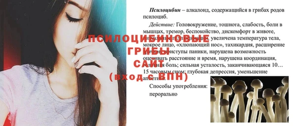 мяу мяу мука Протвино