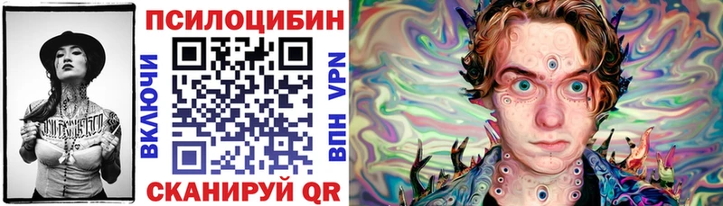 Псилоцибиновые грибы GOLDEN TEACHER продажа наркотиков hydra Зуевка